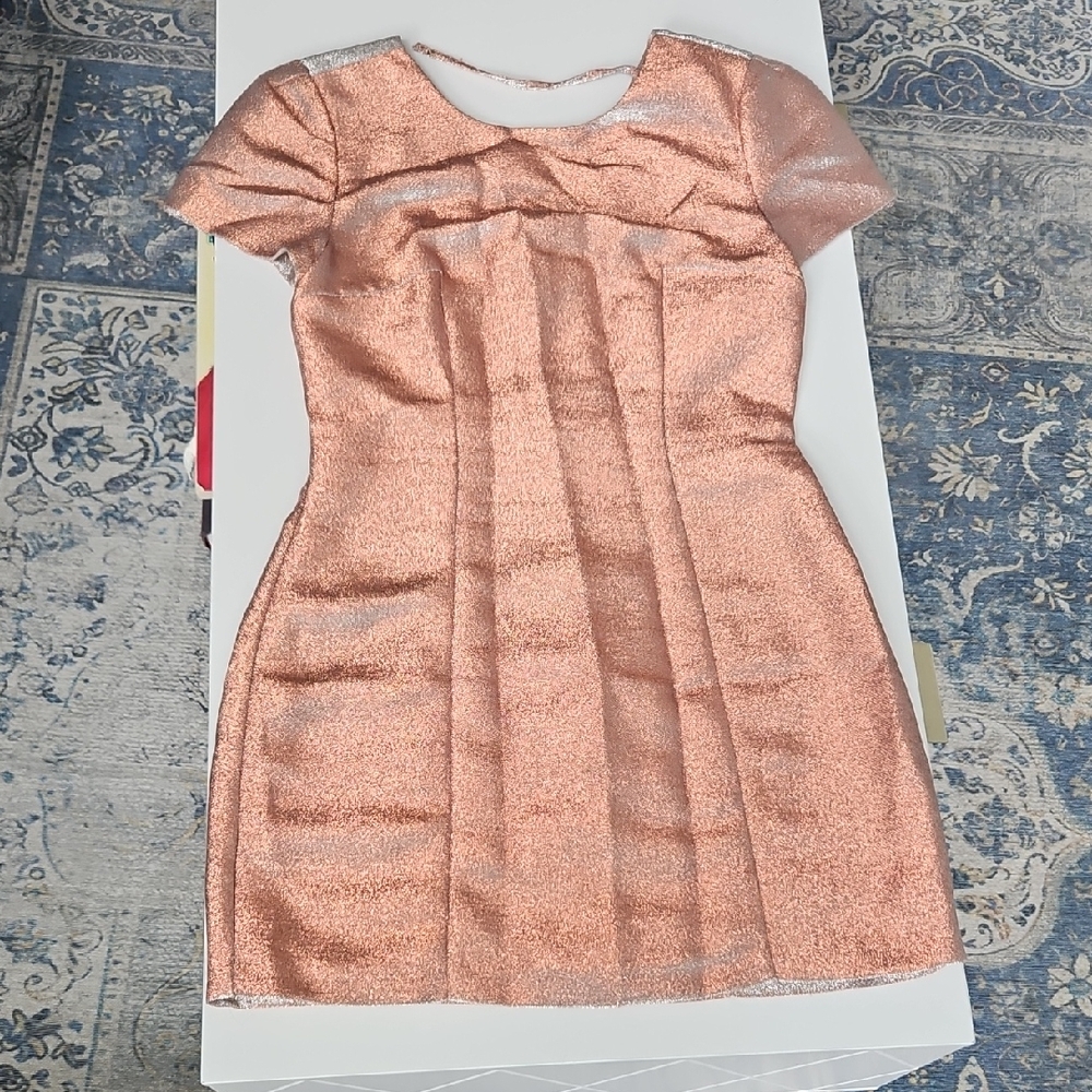 Express Pink Backless Sheath Dress